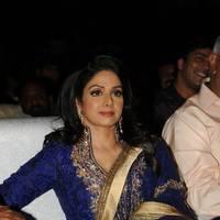 Sridevi Kapoor - Tollywood Cinema Channel Opening Ceremony Photos | Picture 548160