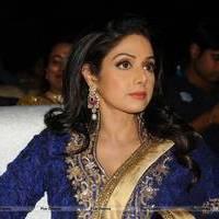 Sridevi Kapoor - Tollywood Cinema Channel Opening Ceremony Photos | Picture 548210