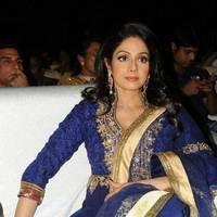Sridevi Kapoor - Tollywood Cinema Channel Opening Ceremony Photos | Picture 548388