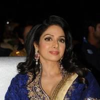 Sridevi Kapoor - Tollywood Cinema Channel Opening Ceremony Photos | Picture 548528