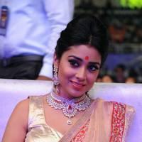 Shriya Saran - Tollywood Cinema Channel Opening Ceremony Photos | Picture 548592