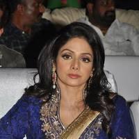Sridevi Kapoor - Tollywood Cinema Channel Opening Ceremony Photos | Picture 548605