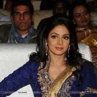 Sridevi Kapoor - Tollywood Cinema Channel Opening Ceremony Photos | Picture 548674