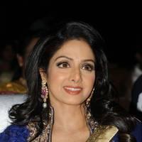 Sridevi Kapoor - Tollywood Cinema Channel Opening Ceremony Photos | Picture 548684