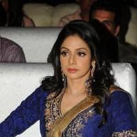 Sridevi Kapoor - Tollywood Cinema Channel Opening Ceremony Photos | Picture 548702