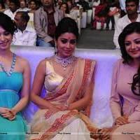 Tollywood Cinema Channel Opening Ceremony Photos | Picture 548724