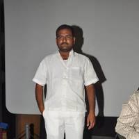 Snehame Thoduga Movie Audio Launch Function Photos | Picture 549509