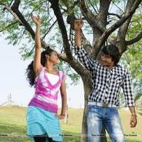 Snehame Thoduga Movie Hot Stills | Picture 549651