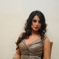 Mahi Gill Hot at Toofan Audio Release Function Photos | Picture 553100