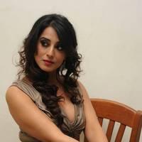 Mahi Gill Hot at Toofan Audio Release Function Photos | Picture 553104