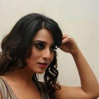 Mahi Gill Hot at Toofan Audio Release Function Photos | Picture 553105