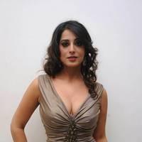 Mahi Gill Hot at Toofan Audio Release Function Photos | Picture 553107