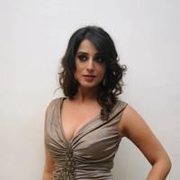 Mahi Gill Hot at Toofan Audio Release Function Photos | Picture 553108