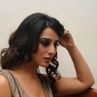 Mahi Gill Hot at Toofan Audio Release Function Photos | Picture 553112