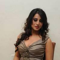 Mahi Gill Hot at Toofan Audio Release Function Photos | Picture 553113