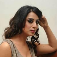 Mahi Gill Hot at Toofan Audio Release Function Photos | Picture 553114
