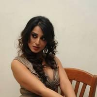 Mahi Gill Hot at Toofan Audio Release Function Photos | Picture 553116