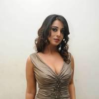Mahi Gill Hot at Toofan Audio Release Function Photos | Picture 553120