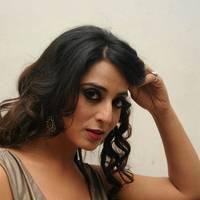 Mahi Gill Hot at Toofan Audio Release Function Photos | Picture 553121