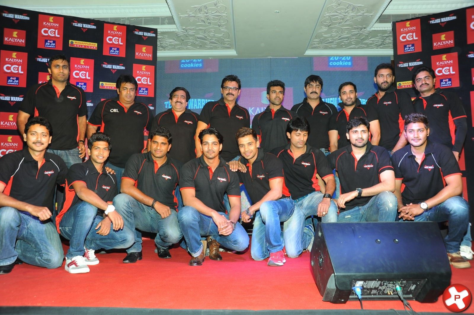CCL Telugu Warriors Team Launch Press Meet Pictures | Picture 375299