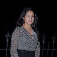 Haripriya at Abbai Class Ammayi Mass Audio Launch Pictures | Picture 376681