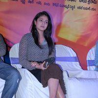 Haripriya at Abbai Class Ammayi Mass Audio Launch Pictures | Picture 376685