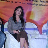 Haripriya at Abbai Class Ammayi Mass Audio Launch Pictures | Picture 376688