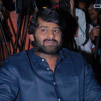 Prabhas - Viswaroopam Telugu Movie Success Meet Pictures | Picture 378080