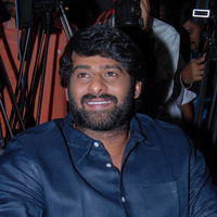 Prabhas - Viswaroopam Telugu Movie Success Meet Pictures | Picture 378118