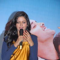 Vimala Raman - Chukkalanti Abbai Chakkanaina Ammai Movie Press Meet Pictures | Picture 391264