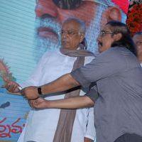 Intinta Annamaya Movie Logo Launch Pictures | Picture 395424