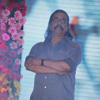 Intinta Annamaya Movie Logo Launch Pictures | Picture 395448