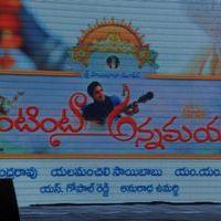 Intinta Annamaya Movie Logo Launch Pictures | Picture 395525