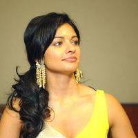 Pooja Kumar at Viswaroopam DTH Release Pictures | Picture 353711
