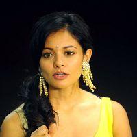 Pooja Kumar at Viswaroopam DTH Release Pictures | Picture 353742