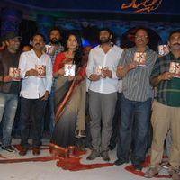 Mirchi Audio Launch Pictures | Picture 357643
