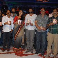 Mirchi Audio Launch Pictures | Picture 357644