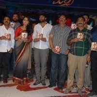 Mirchi Audio Launch Pictures | Picture 357705