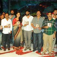 Mirchi Audio Launch Pictures | Picture 357717