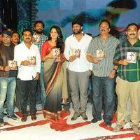 Mirchi Audio Launch Pictures | Picture 357744