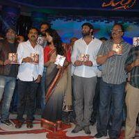 Mirchi Audio Launch Pictures | Picture 357757