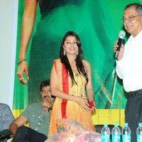 April Fool Movie Audio Release Pictures | Picture 358691