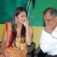 April Fool Movie Audio Release Pictures | Picture 358708