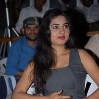 April Fool Movie Audio Release Pictures | Picture 358720