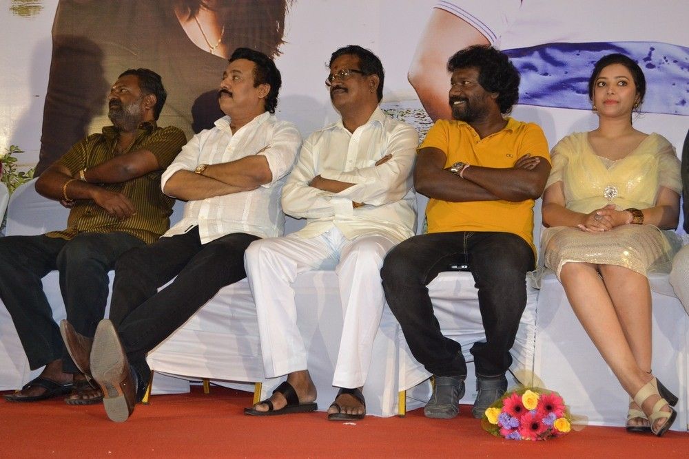 Chandamama Audio Launch Pictures | Picture 359257