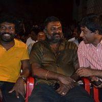 Chandamama Audio Launch Pictures | Picture 359235