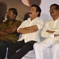 Chandamama Audio Launch Pictures | Picture 359240