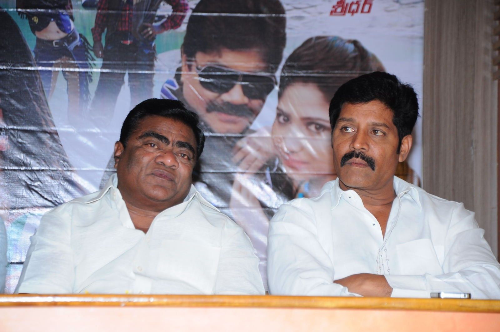 Mr Rowdy Audio Release Pictures | Picture 360155
