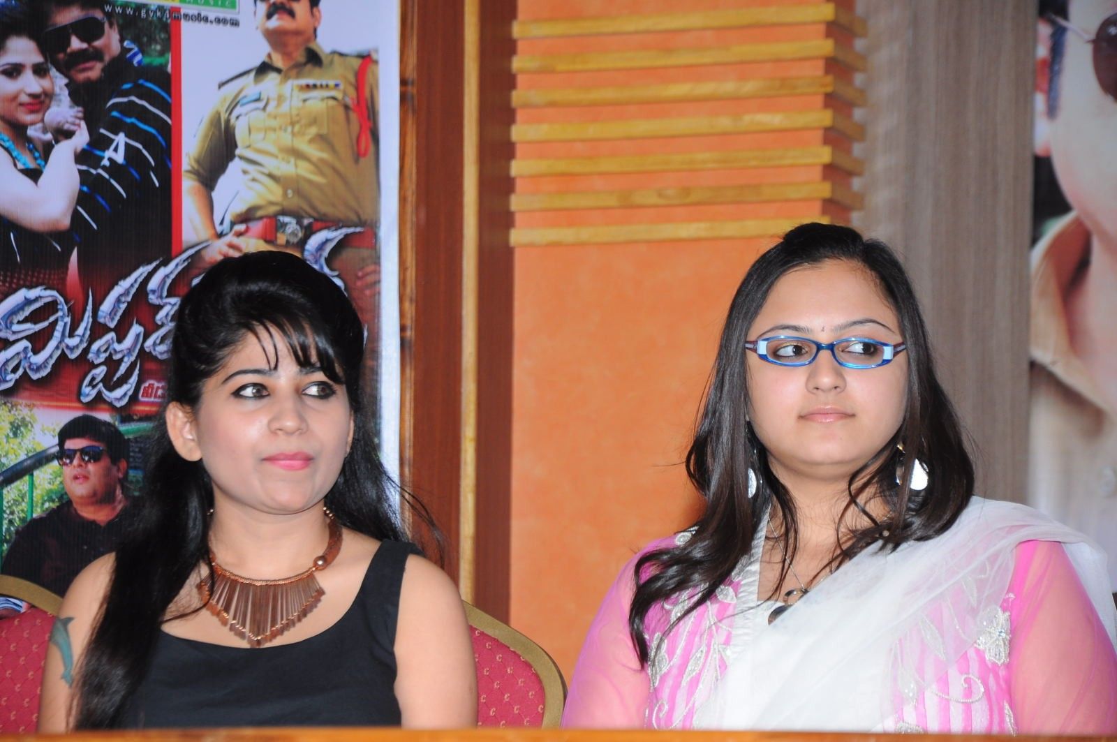 Mr Rowdy Audio Release Pictures | Picture 360157