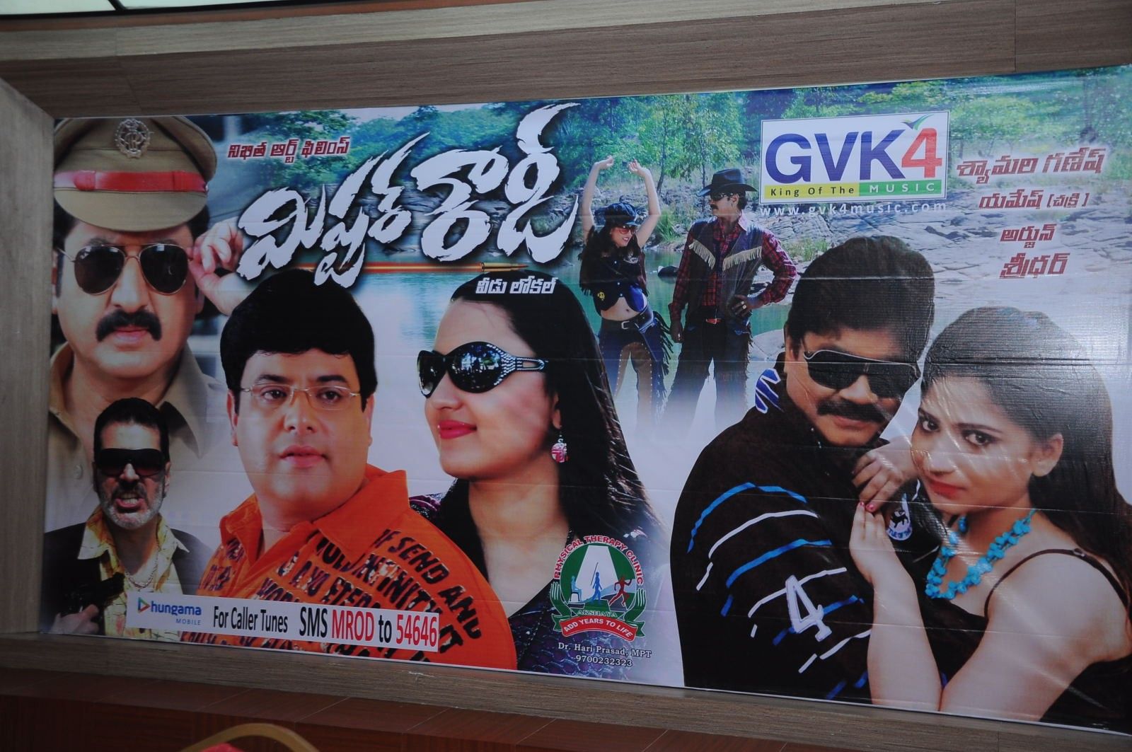 Mr Rowdy Audio Release Pictures | Picture 360167